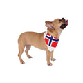 17. mai Hunde Bandana