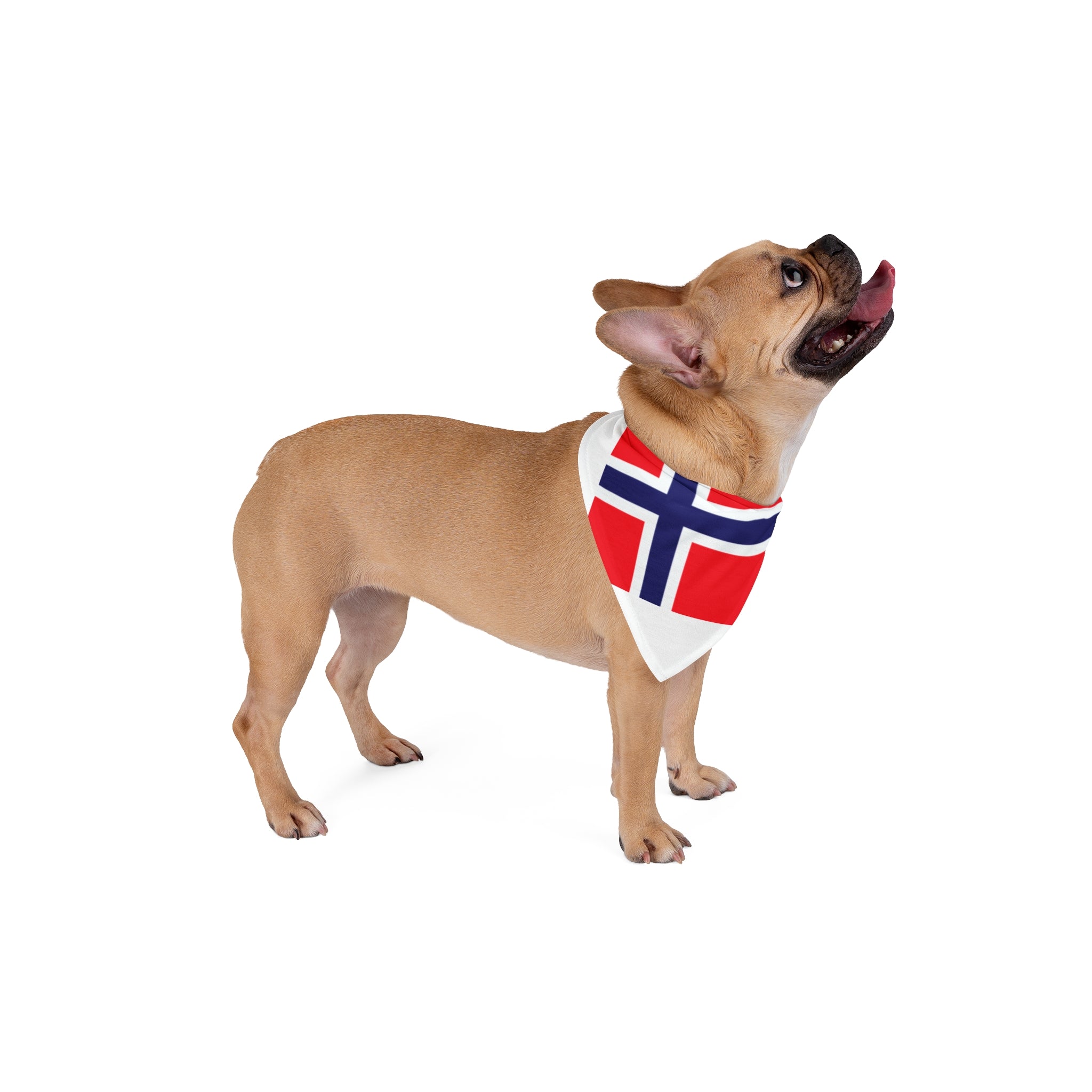 17. mai Hunde Bandana